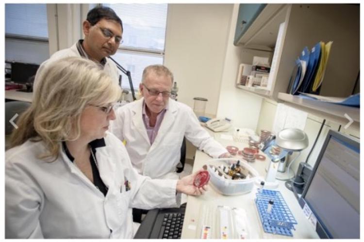 picture of 3 scientists in a lab