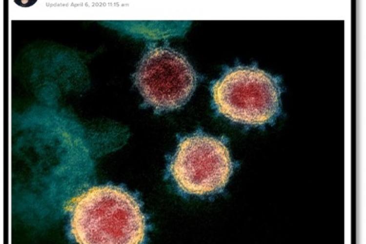 screen shot of news article re young person death from COVID-19