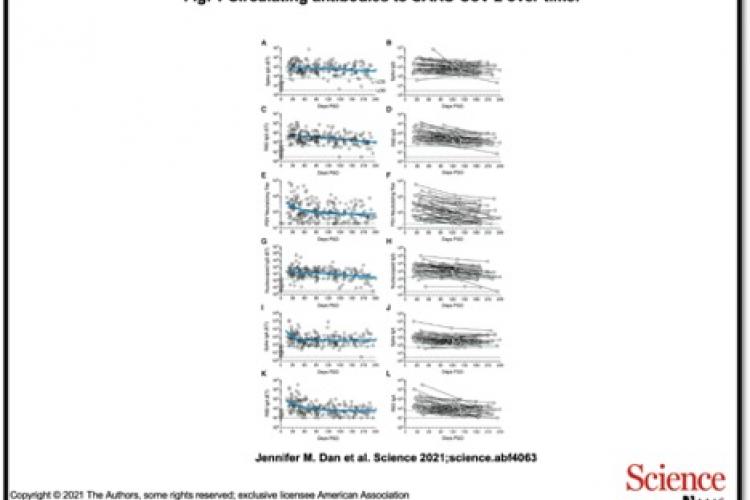image of research data