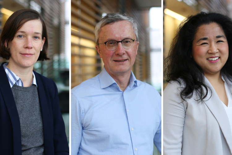 Drs. Molin, Herzinger and Asai