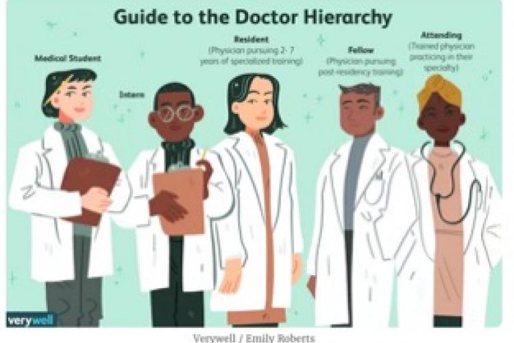 animated photo of 5 people labelled at as medical hierarchy