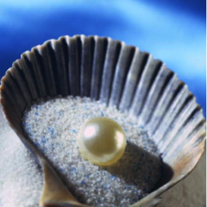 The Pearls for Achieving a State of Aequanimitas