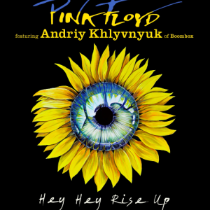 album cover sunflower with eye in the middle of it