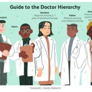 animated photo of 5 people labelled at as medical hierarchy