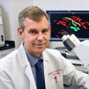 The flaw in ourselves: a Shakespearean guide to improve preclinical research