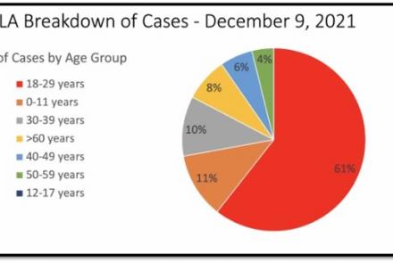 pie chart of current covid cases in KFLA by age